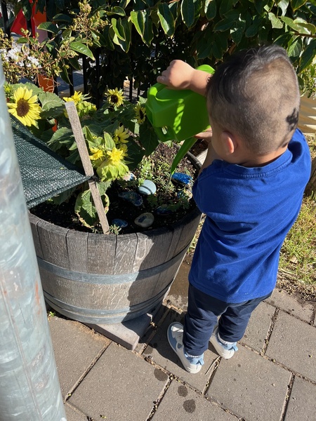 flowers watering